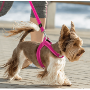 Rogz dogz σαμαράκι σκύλου Utility fast-fit harness κόκκινο, απαραίτητο για τα ενεργά σκυλιά