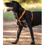 Rogz dogz σαμαράκι utility h-harness Reflective κόκκινο εξασφαλίζει μια ασφαλή και άνετη βόλτα