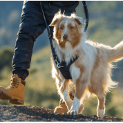 Rogz dogz σαμαράκι σκύλου Utility Explore Harness μπλε, εξασφαλίζει άνεση και πρόσθετο έλεγχο