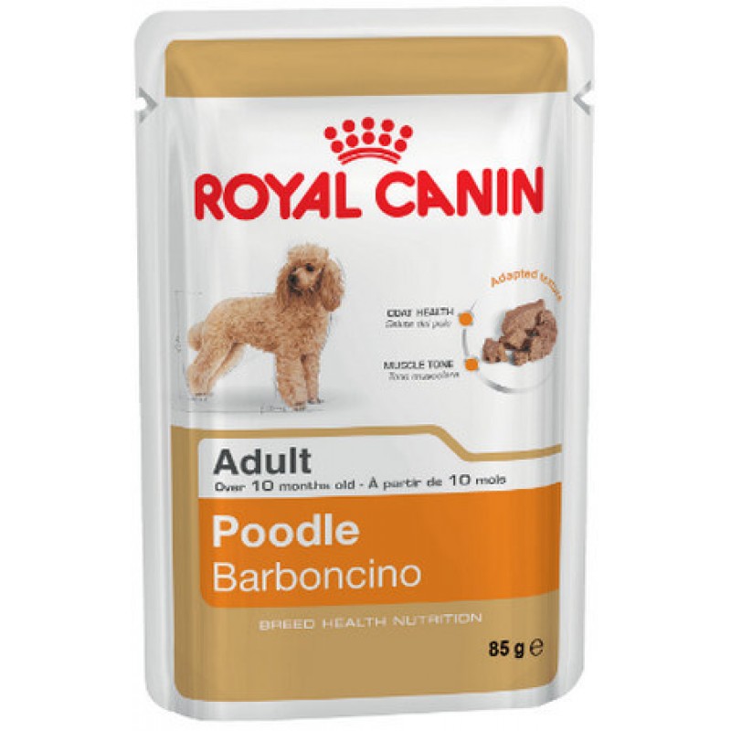 Royal Canin πλήρης τροφή Breed Health Nutrition Wet για ενήλικες σκύλους φυλής poodle