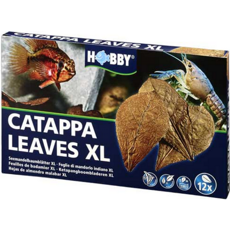 Hobby φύλλα Catappa Leaves XL για τη θεραπεία βακτηριακών παθήσεων και την επούλωση τραυμάτων ψαριών