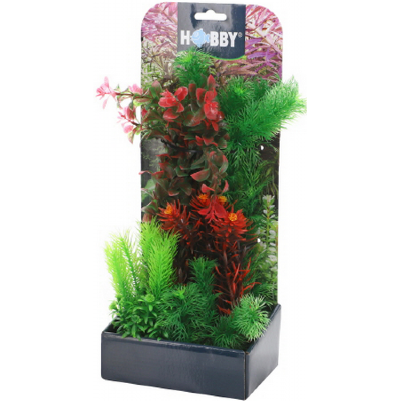 Hobby Διακοσμητικό φυτό Plantasy Set 3, SB