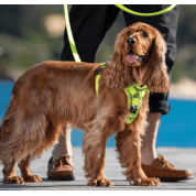 Rogz dogz σαμαράκι σκύλου Utility Control Harness μπλε από ιμάντα υψηλής αντοχής με ανακλαστική ραφή